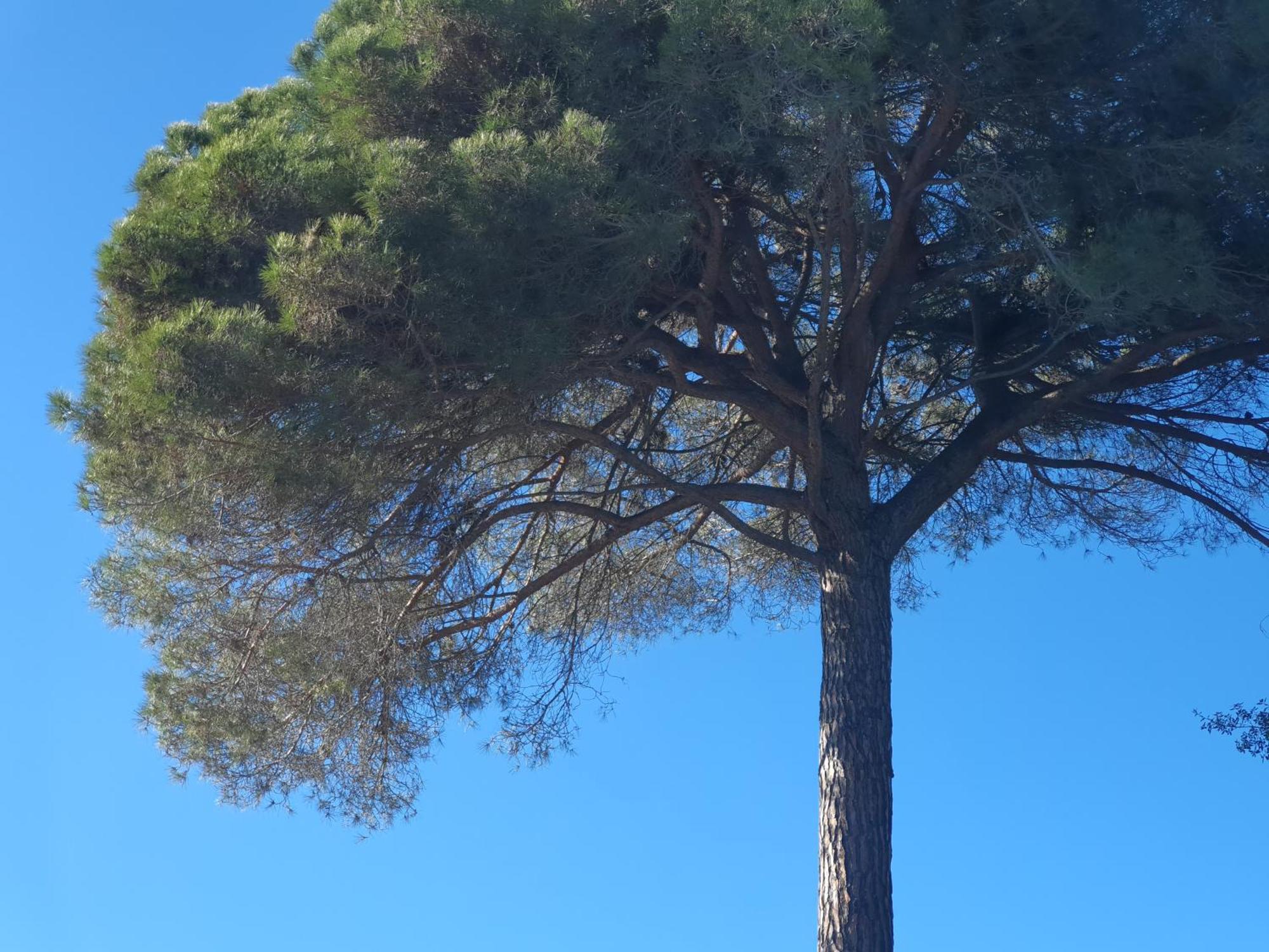Spa Ibiza Dosrius Canyamás Exteriér fotografie